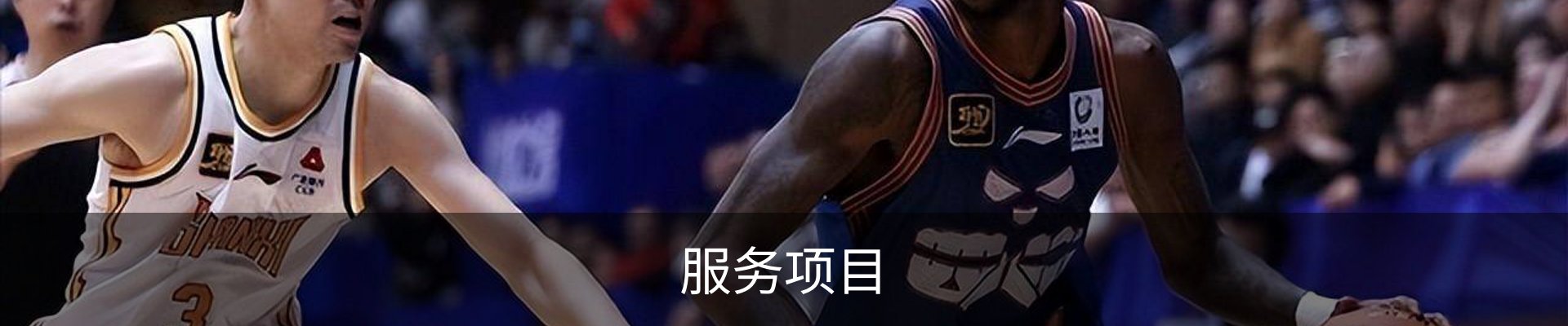 服务项目